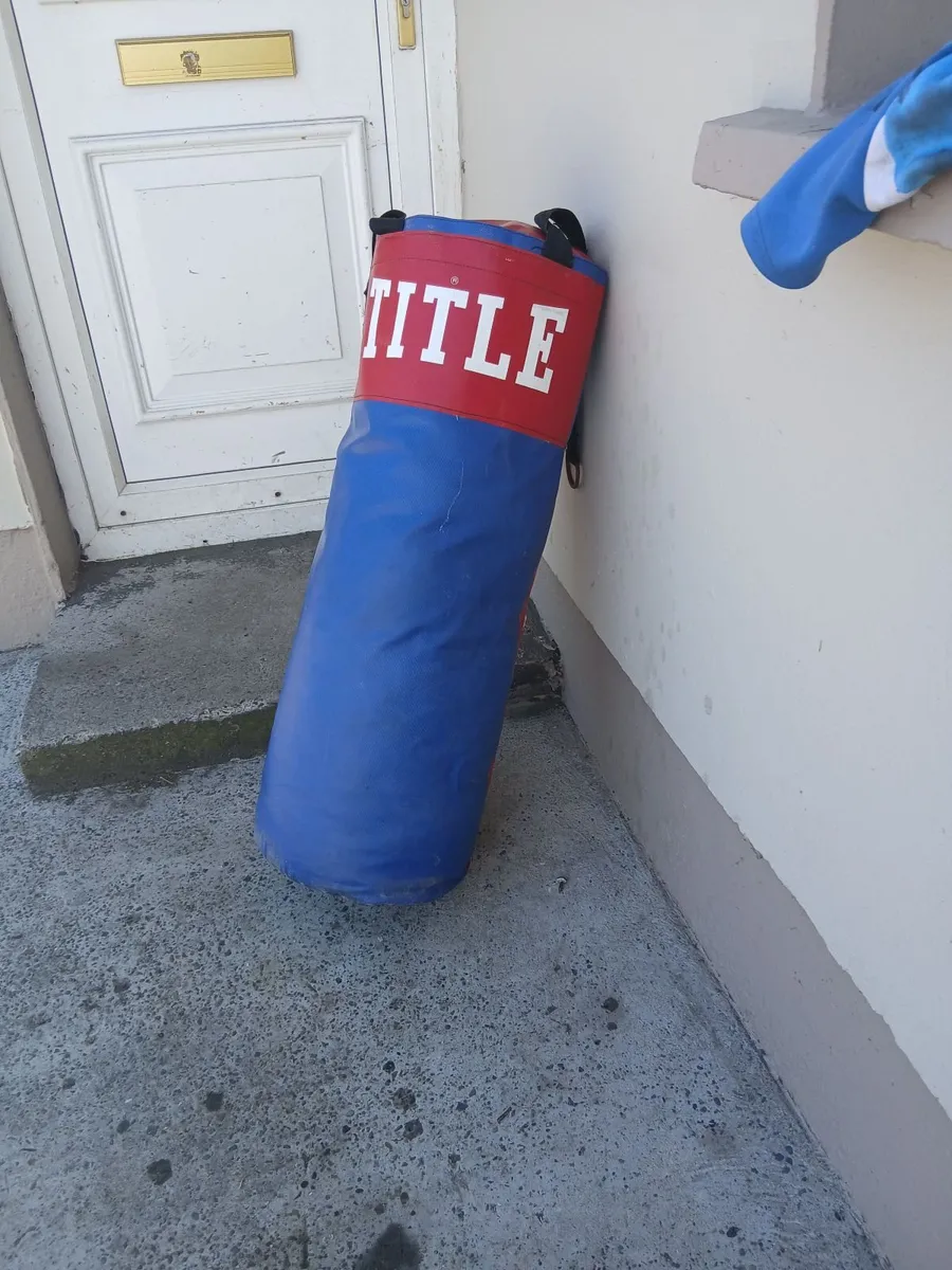 Boxing bag in great condition price too sell - Image 1