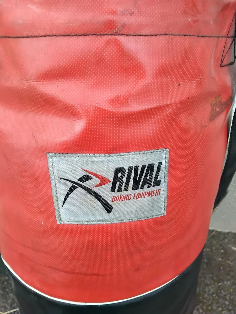 Big boxing bag in excellent condition priced - Image 2