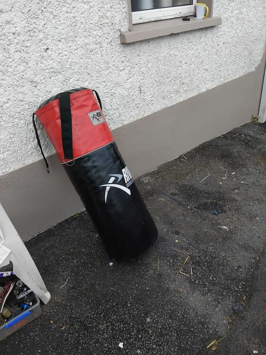 Big boxing bag in excellent condition priced - Image 1