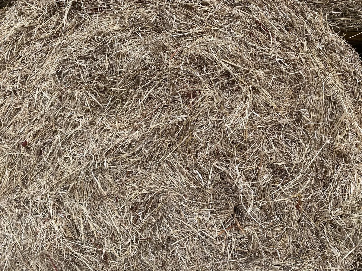 Hay - Image 4