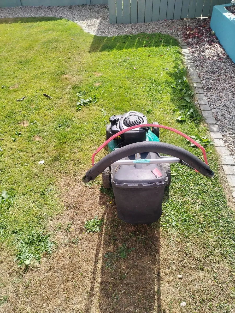 Petrol lawnmower - Image 2