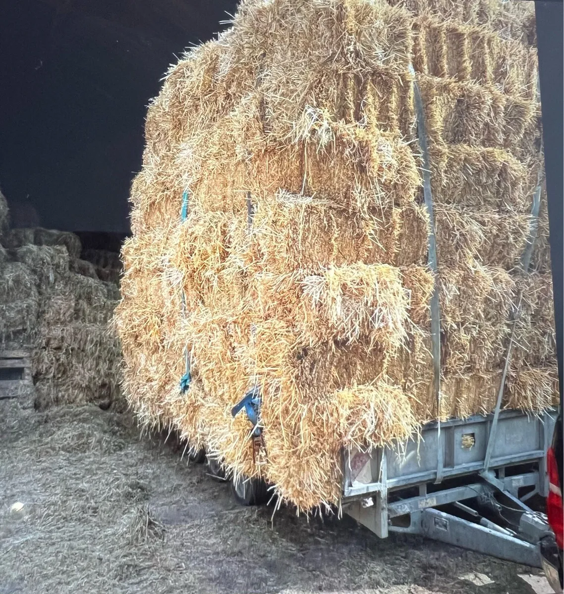Square bales of Straw