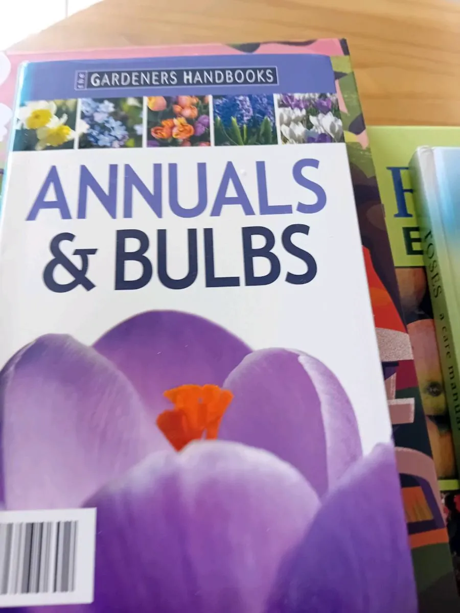 A selection of books all 20 for the lot  or 5 euro - Image 3