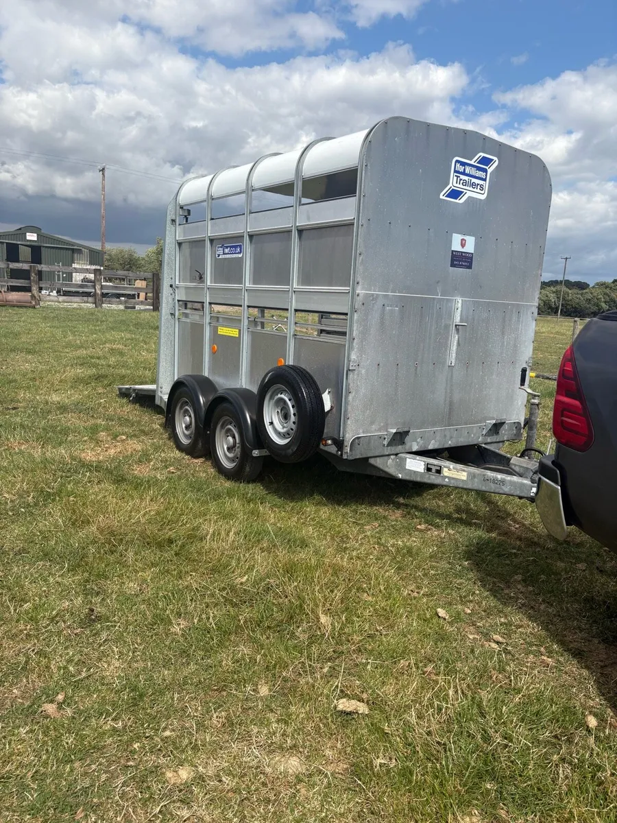 Iforwillams 8x5 Cattle Trailer - Image 1