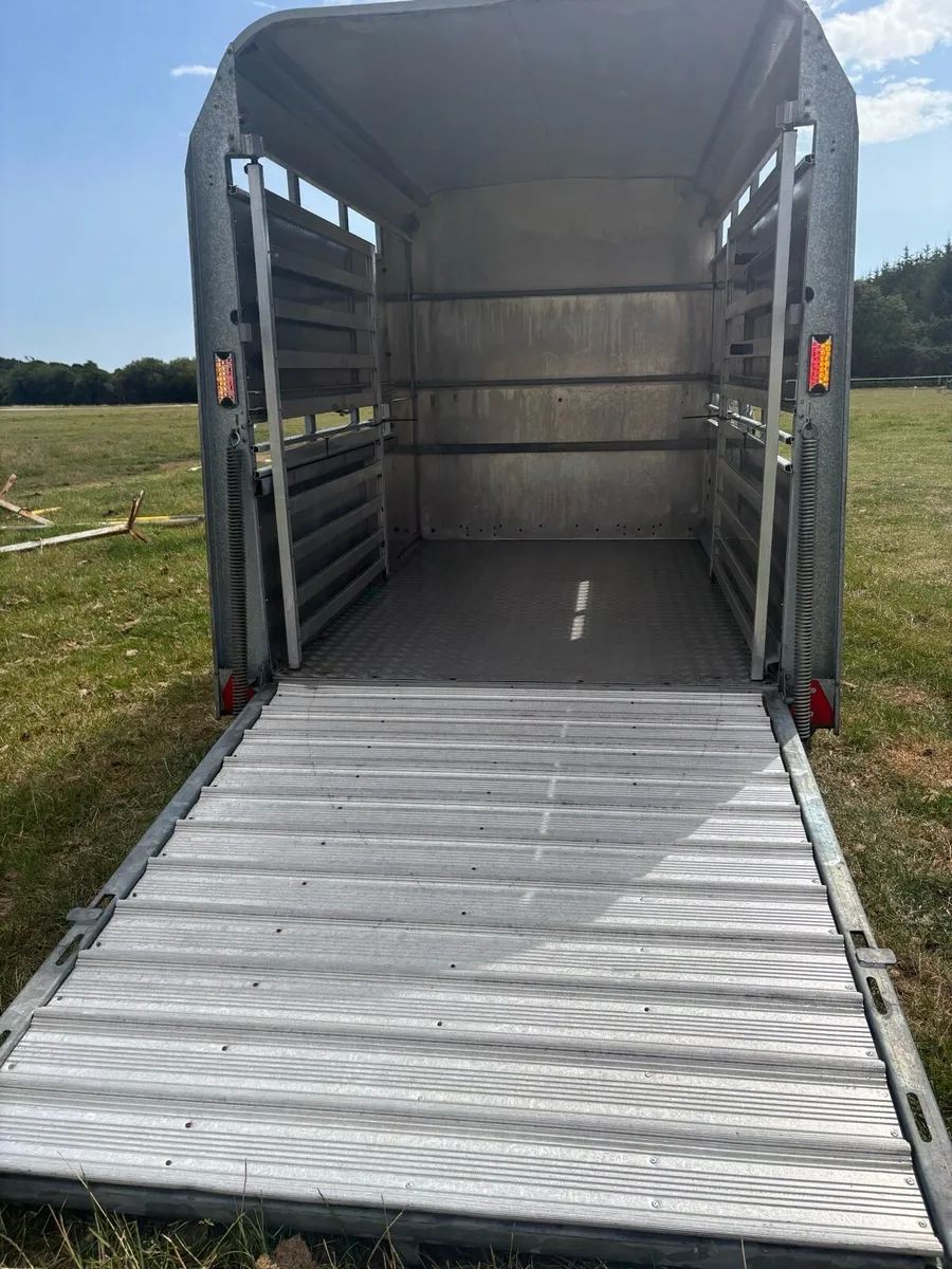 Iforwillams 8x5 Cattle Trailer - Image 3