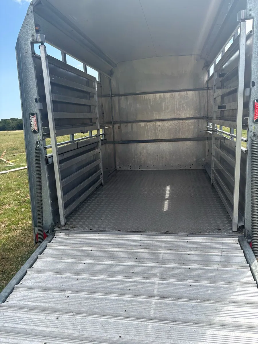 Iforwillams 8x5 Cattle Trailer - Image 4