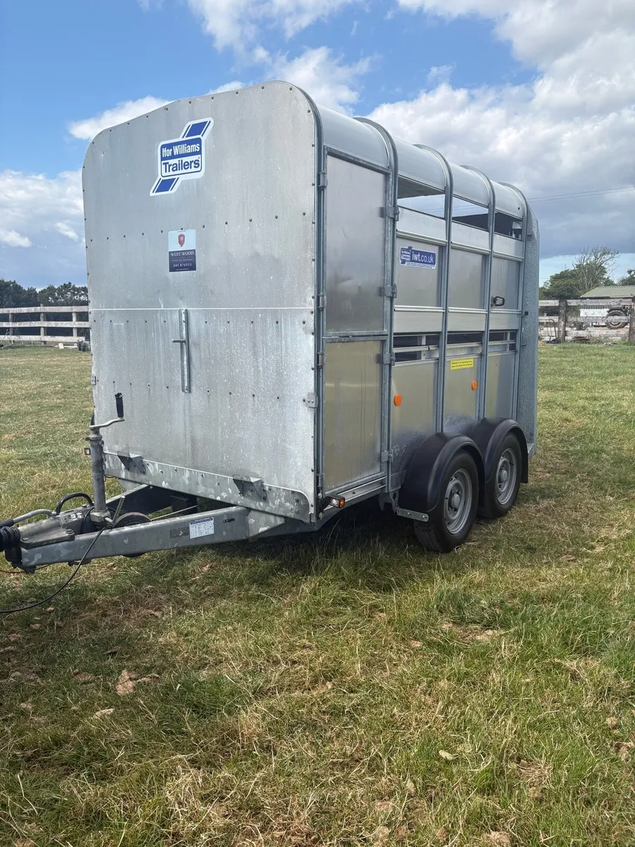 Iforwillams 8x5 Cattle Trailer - Image 2