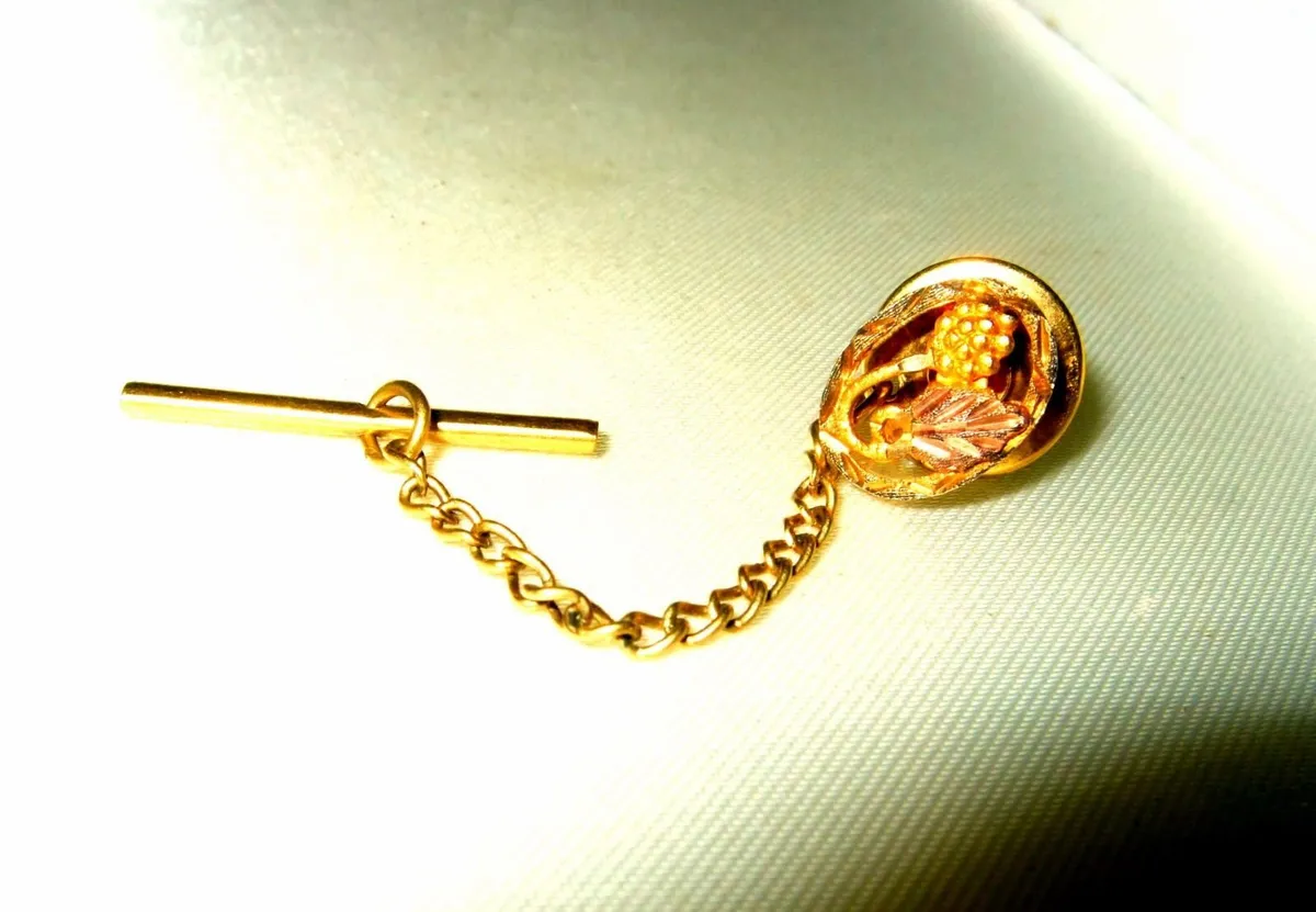 Pristine Vintage Black Hills 10k/12k Gold Tie Pin - Image 1