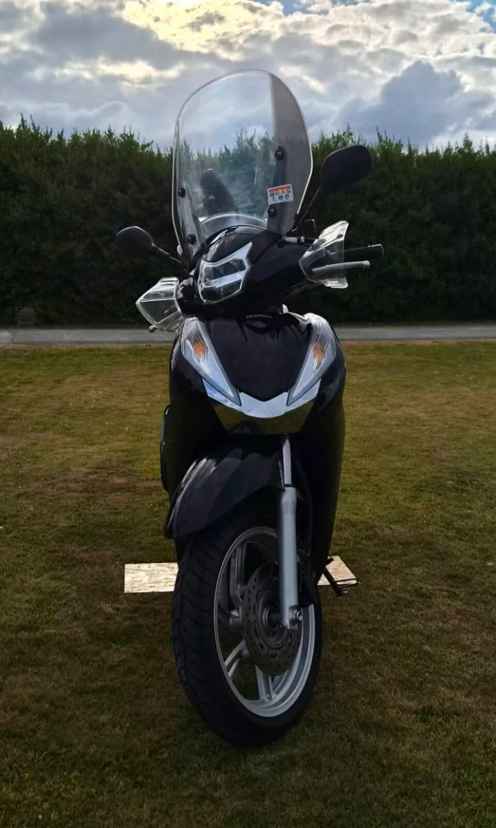 Scooter - Image 3
