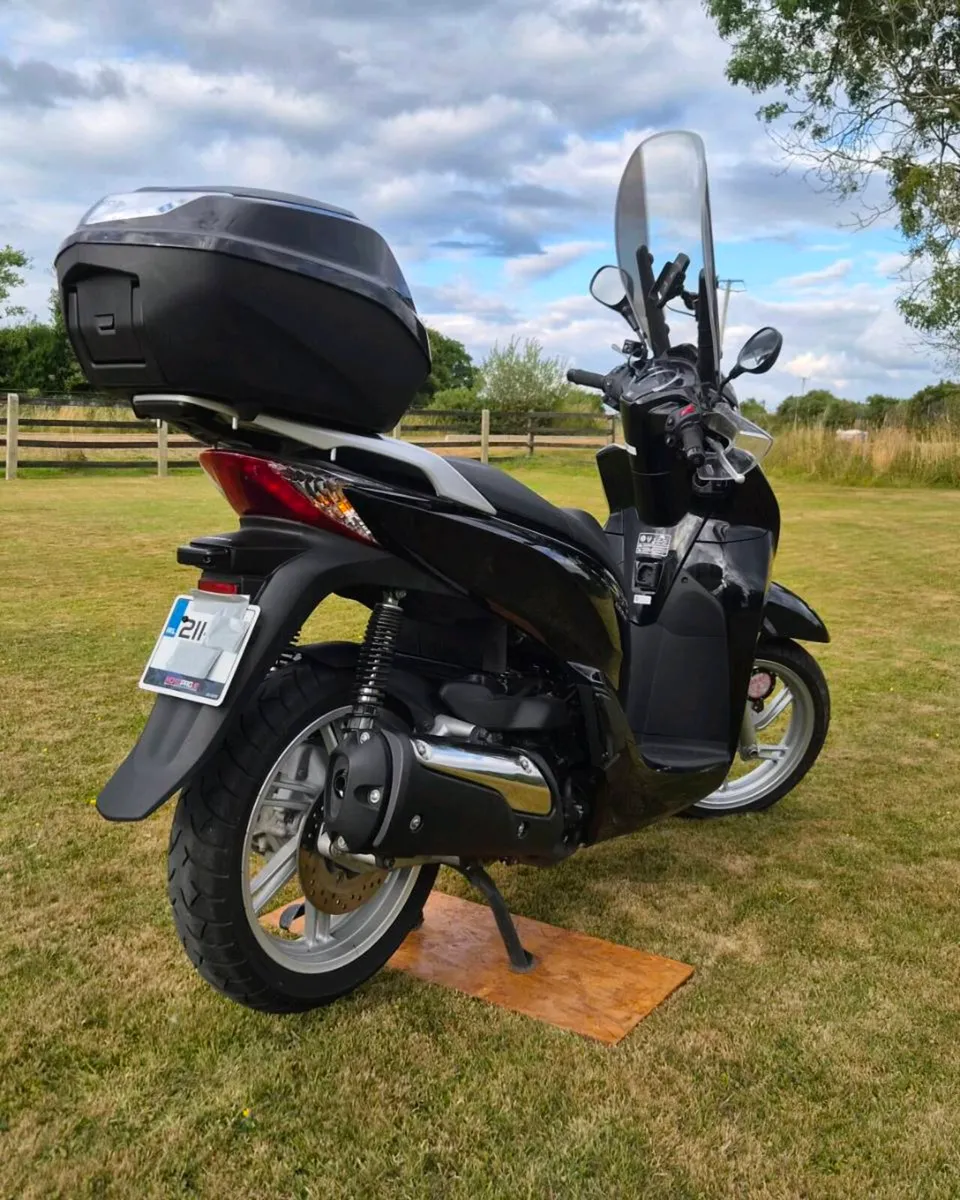 Scooter - Image 4