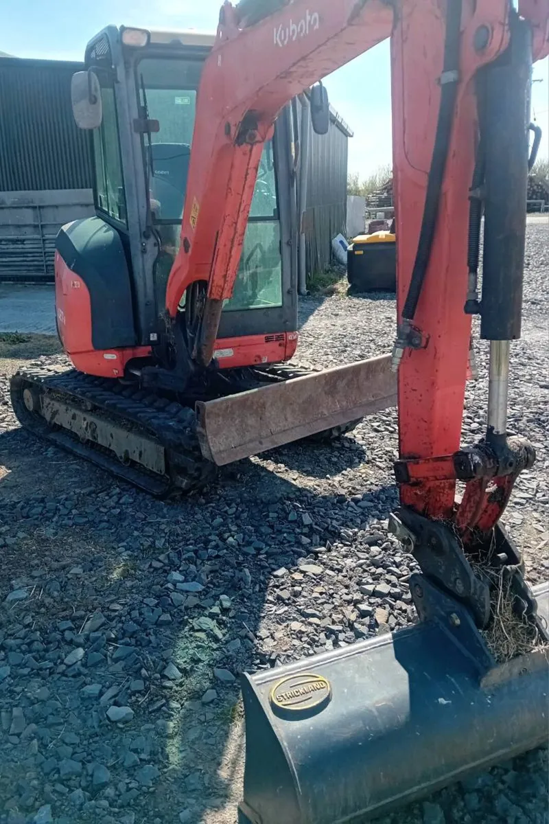 Mini digger with driver - Image 2