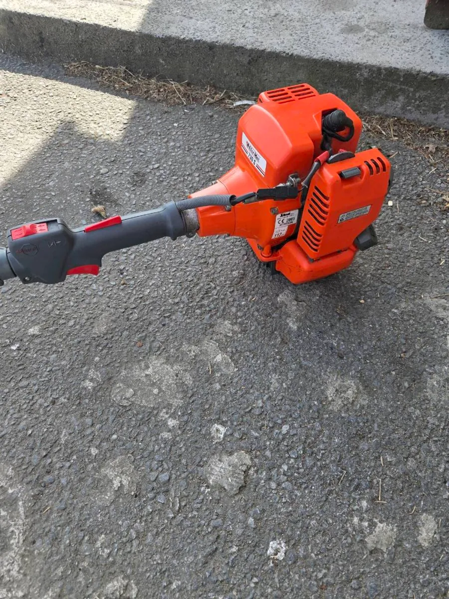 Oleo mac 730s stimmers - Image 4