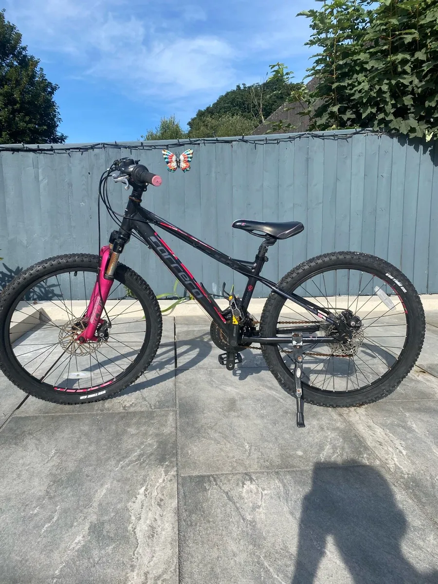 Mountain Bike - Image 1