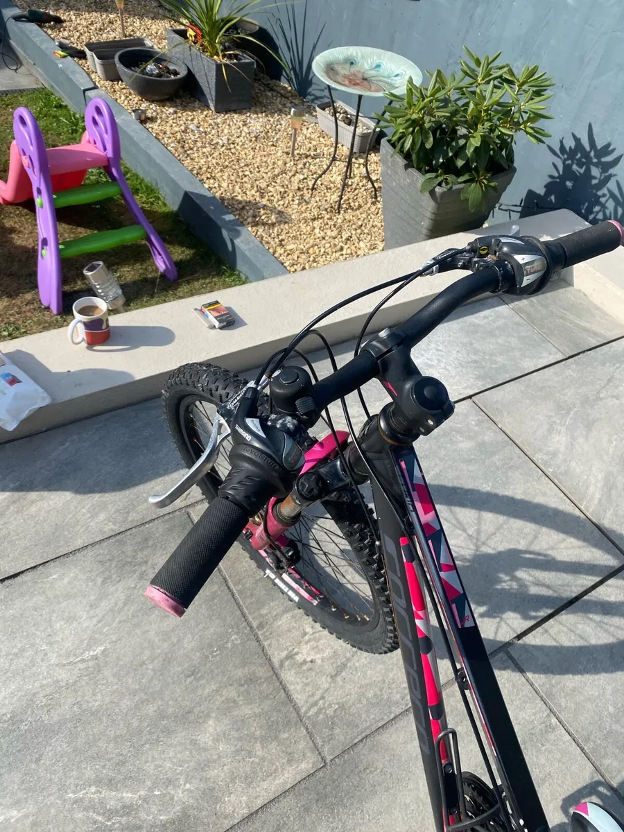 Mountain Bike - Image 2