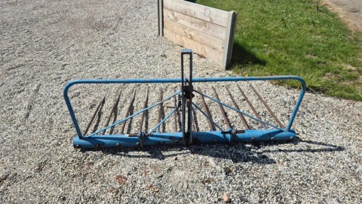 TWOSE 12 TINE BUCKRAKE - Image 1