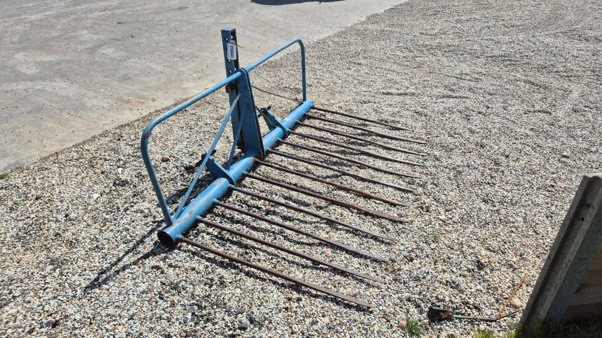 TWOSE 12 TINE BUCKRAKE - Image 2