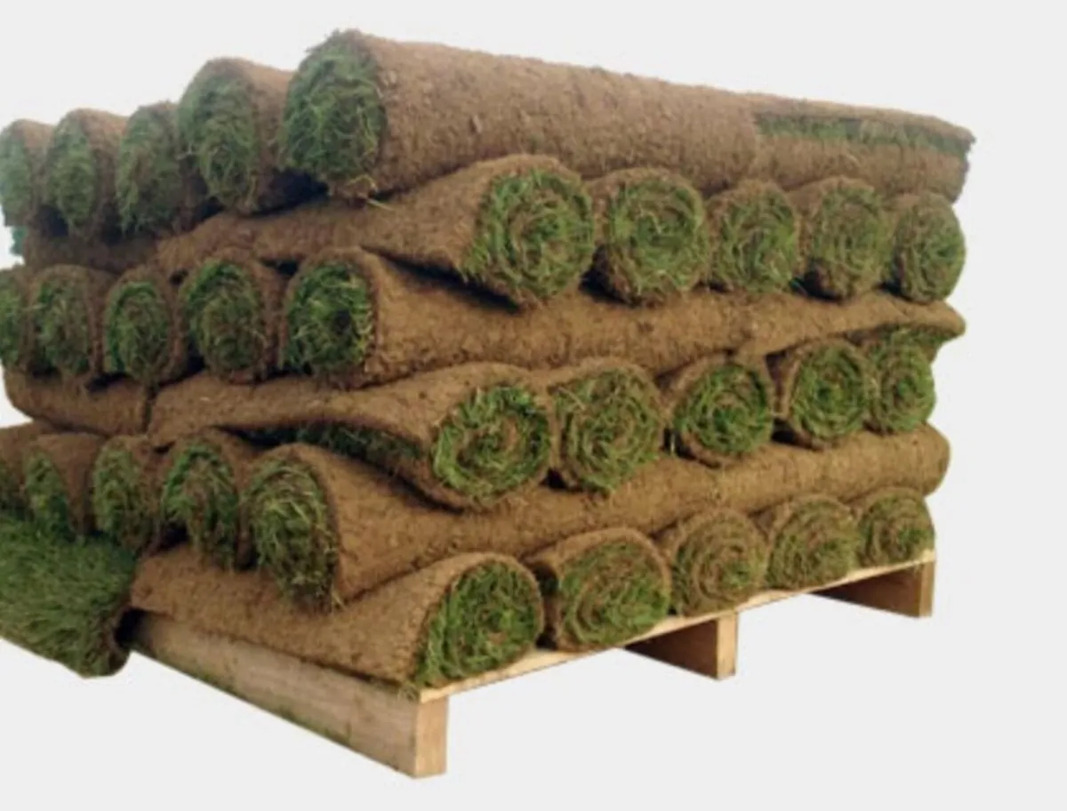 Irish turf lawns - Image 1