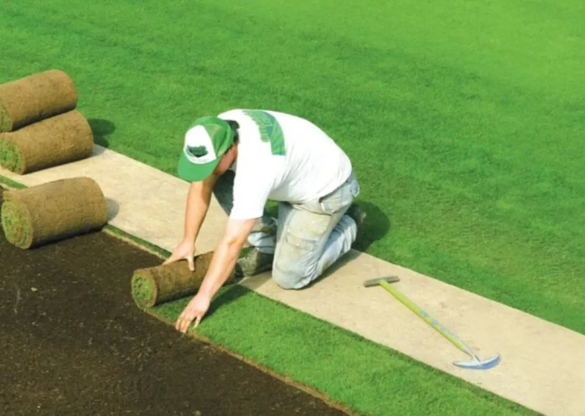 Irish turf lawns - Image 3