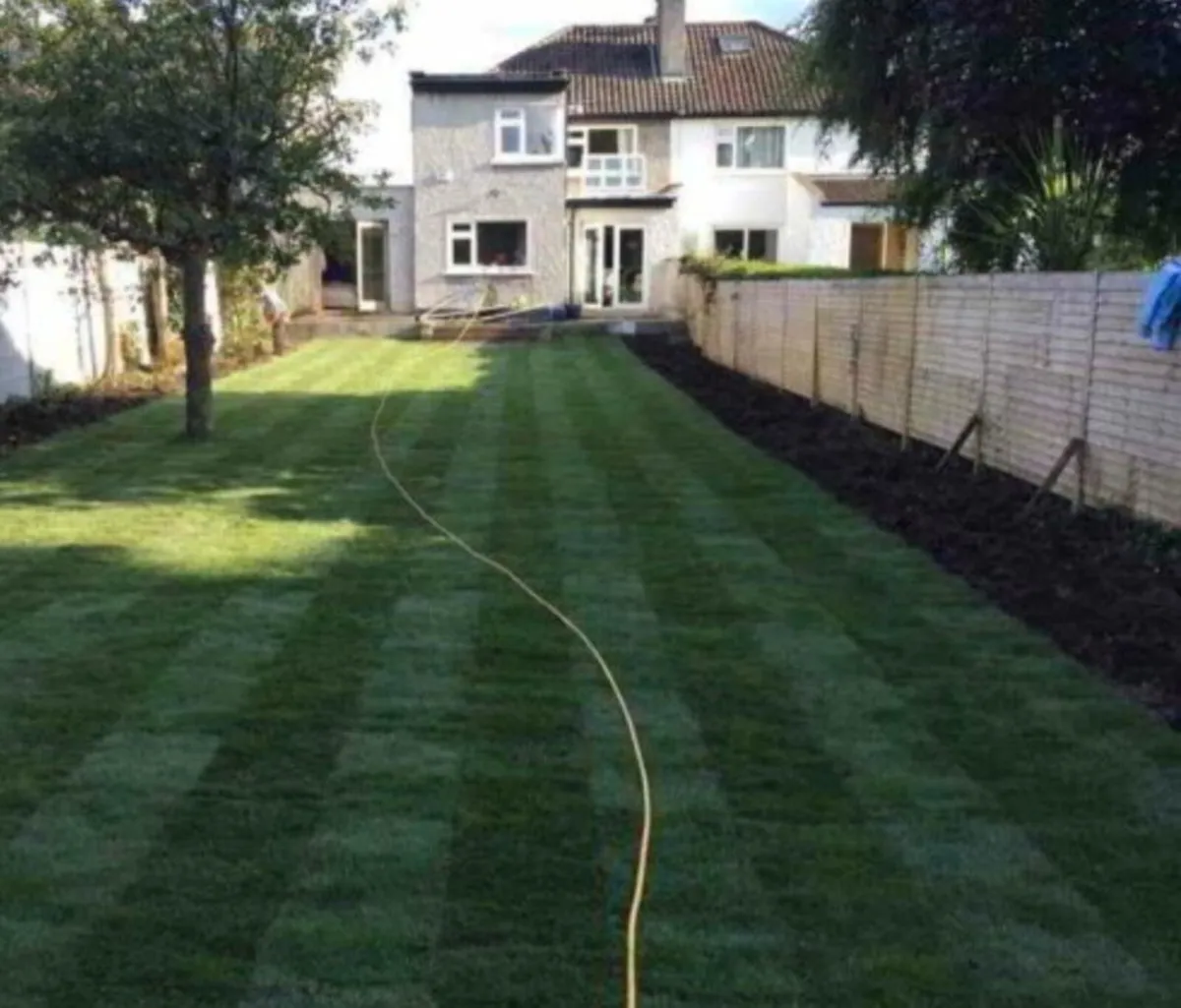 Irish turf lawns - Image 4