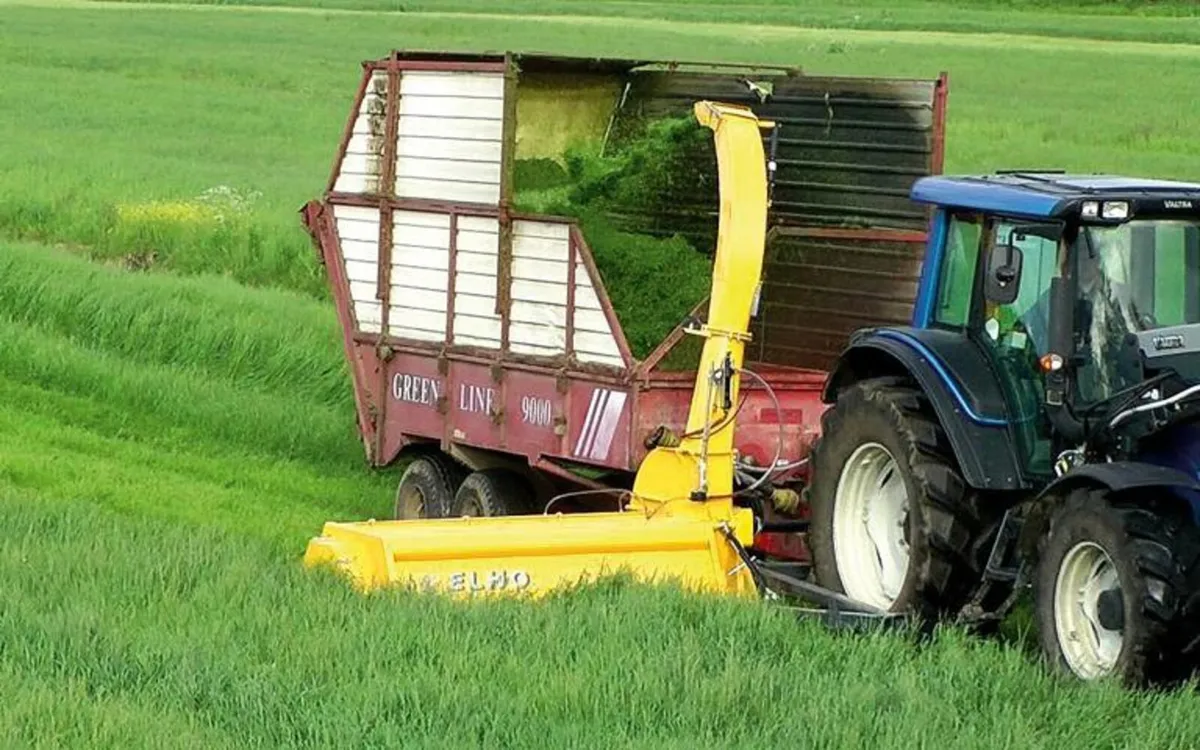 ELHO DC2100s DOUBLE CHOP - Image 1