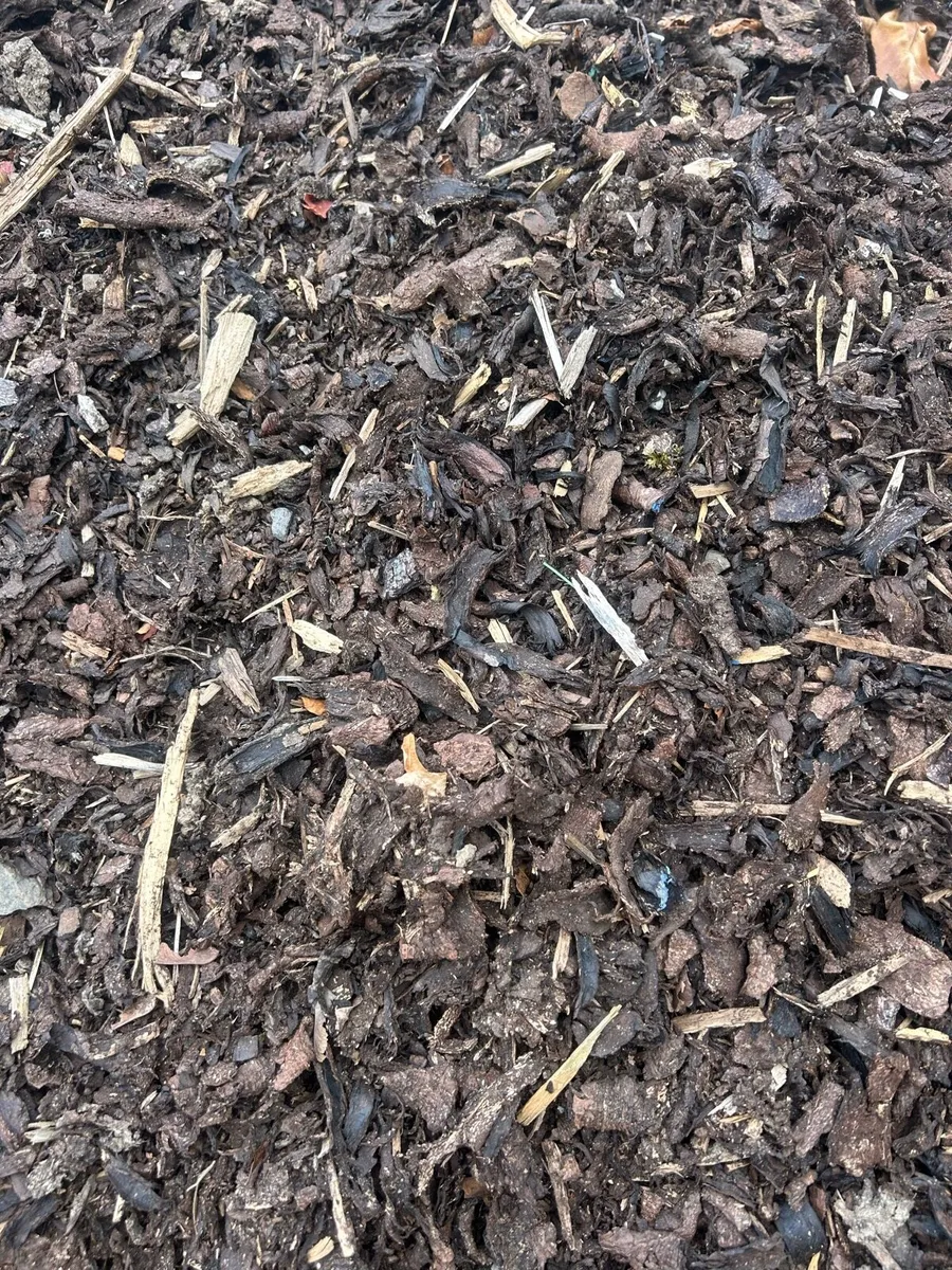 Bark - Image 2