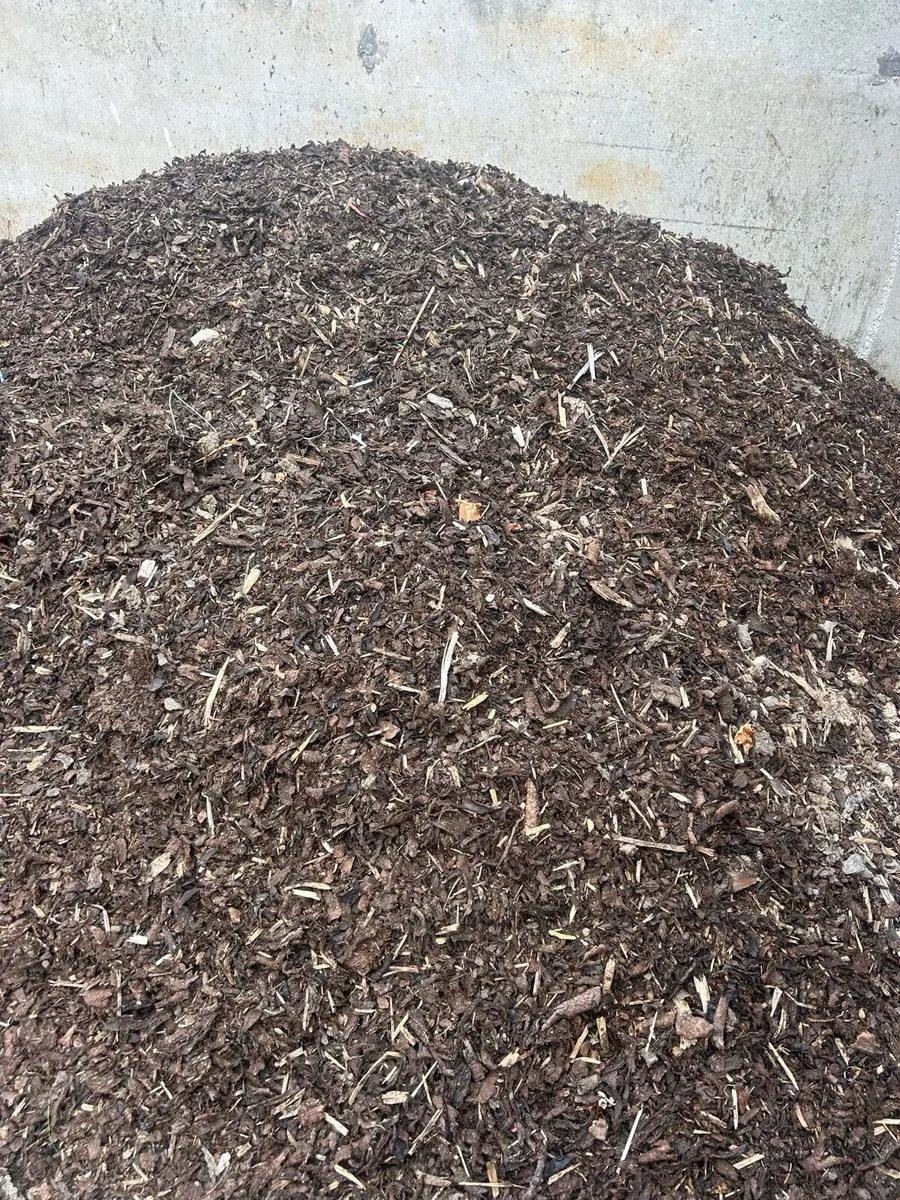 Bark - Image 3