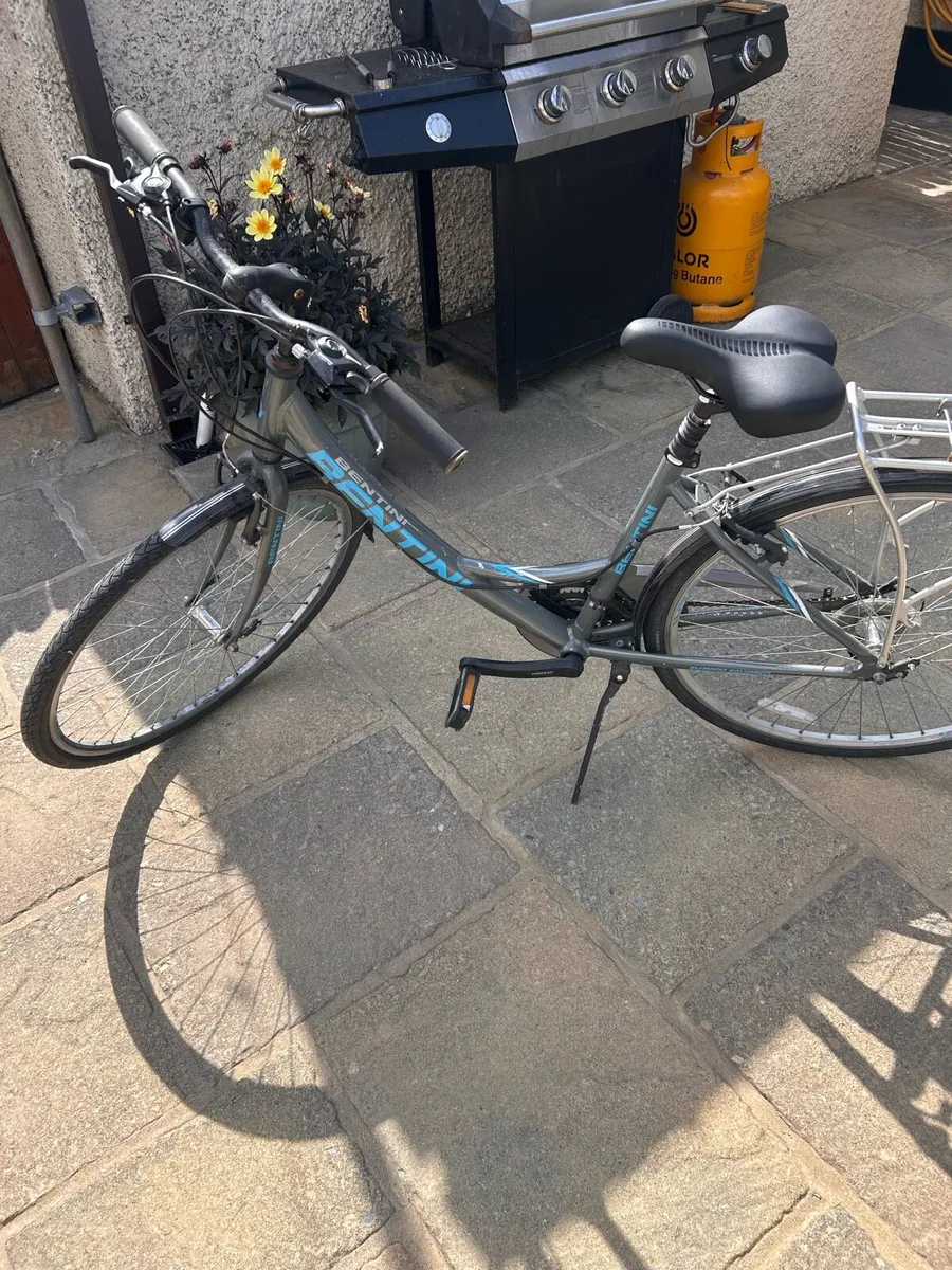 Ladies Bicycle - Image 3