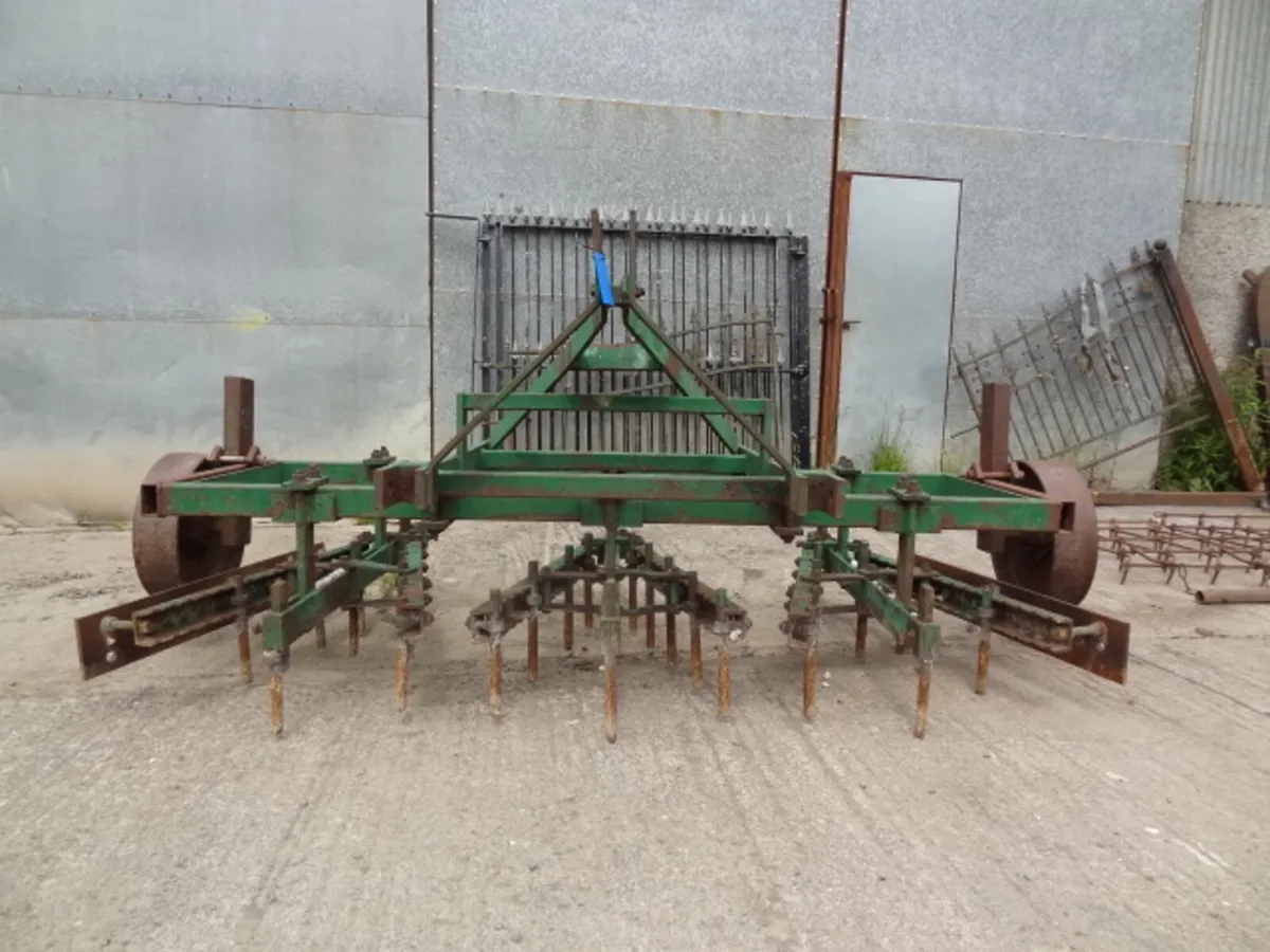 Cousins 2 row weeder - Image 3