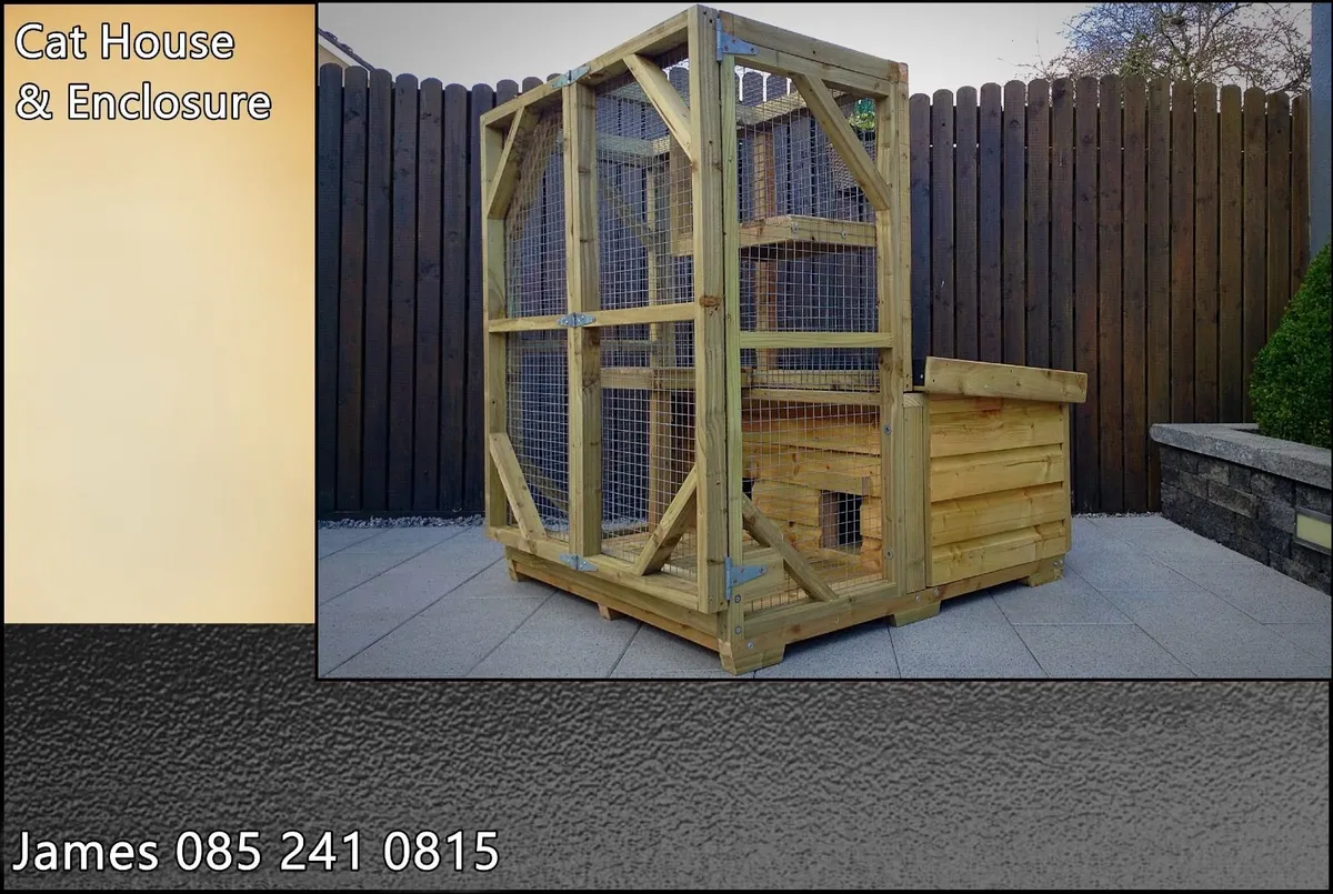 Cat/Kitten House & Enclosure - Image 1