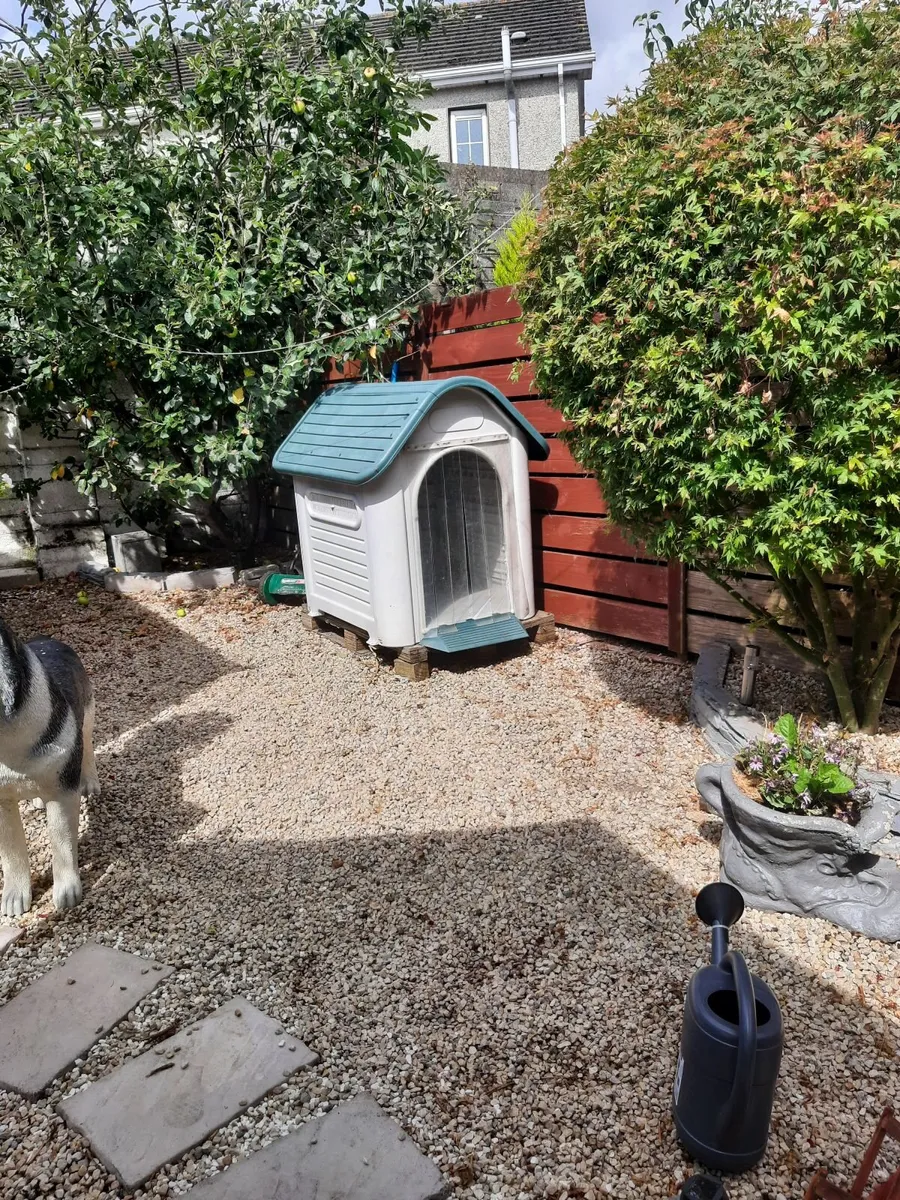 Dog box - Image 1