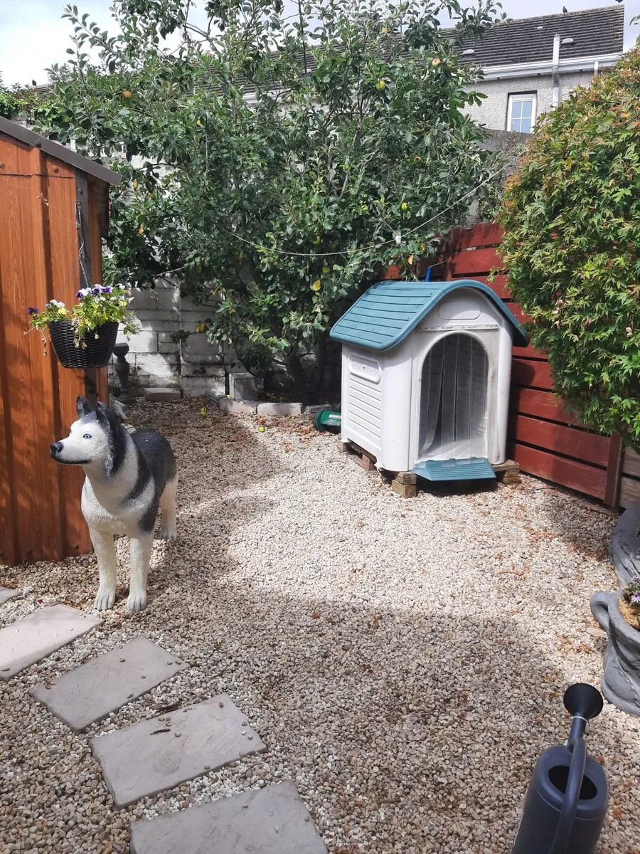 Dog box - Image 3