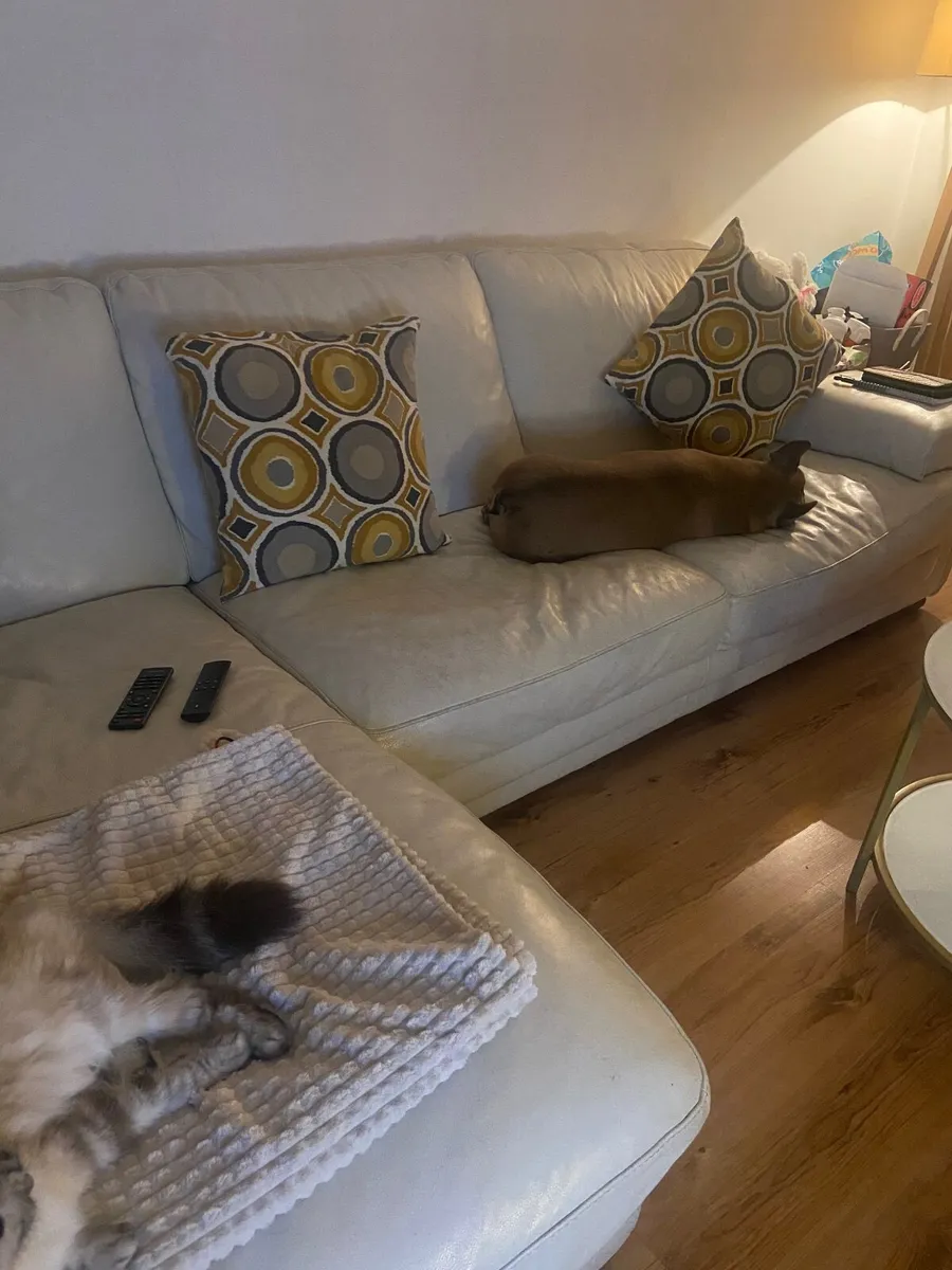 Leather corner couch FREE - Image 2