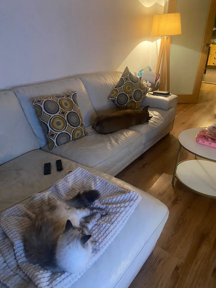 Free leather couch - Image 1