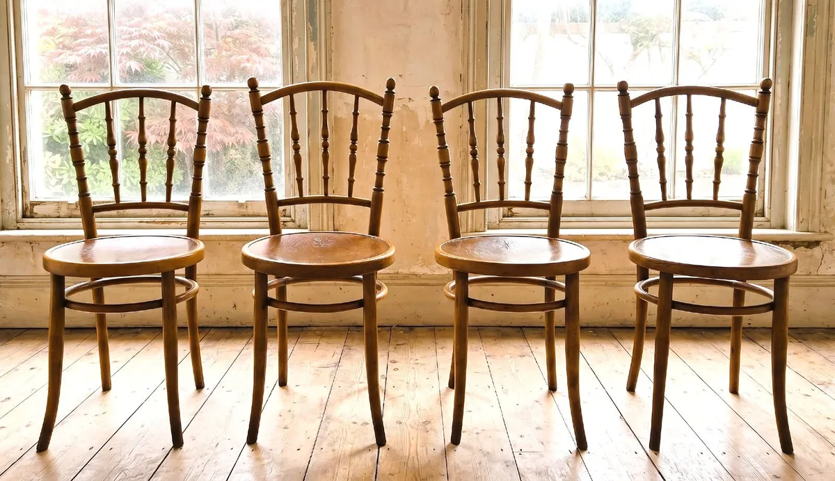 Antique Bentwood Chairs- Circa 1920 - Image 1