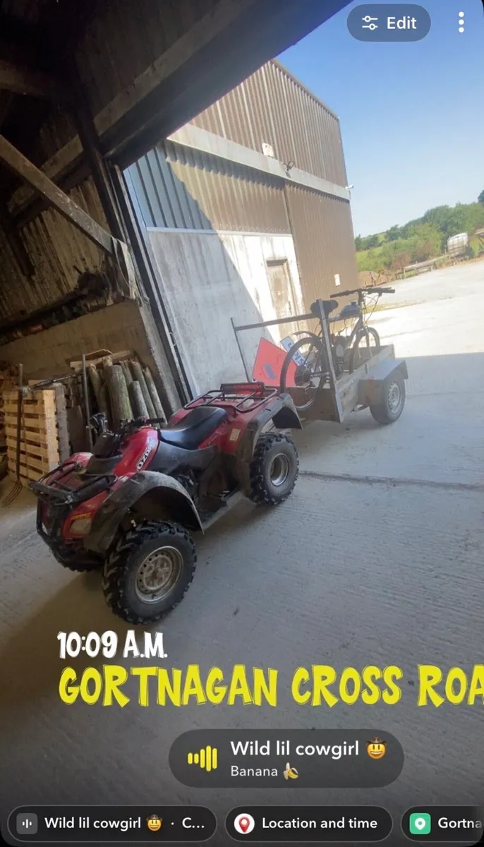 Suzuki ozark 250 - Image 3