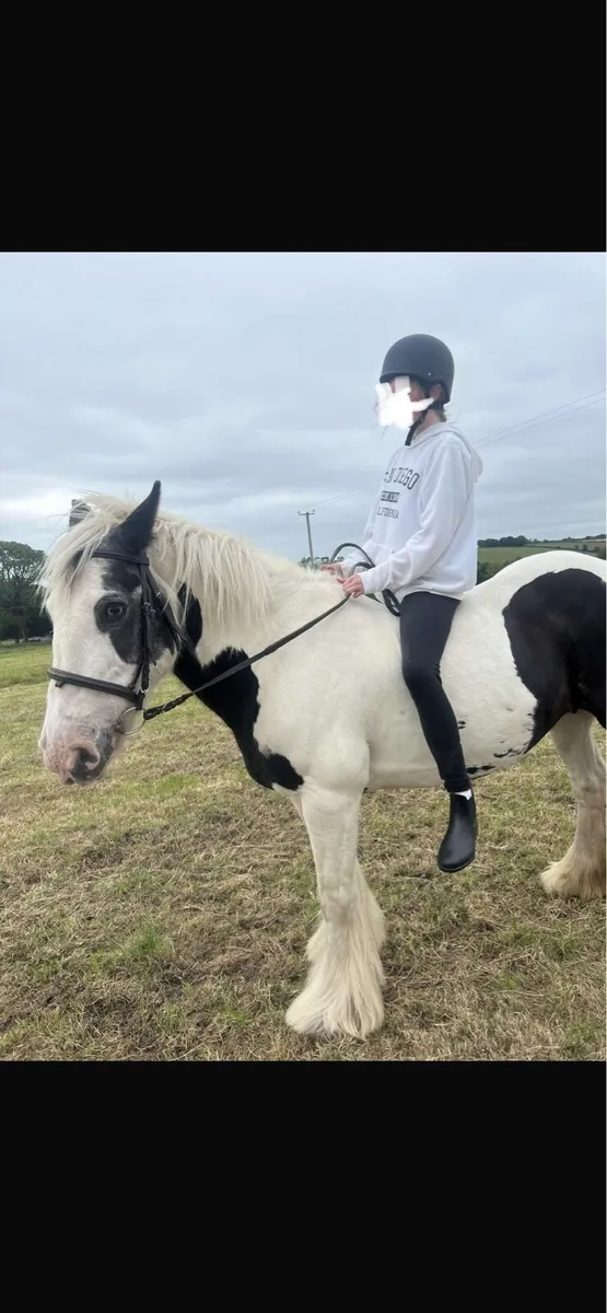 Beginners Pony - Image 3