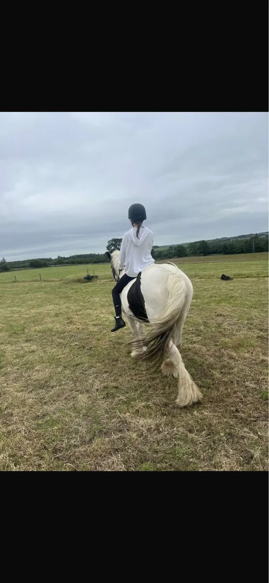 Beginners Pony - Image 4