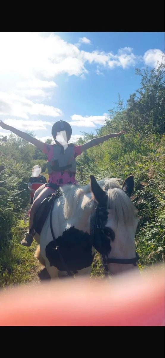 Beginners Pony - Image 2
