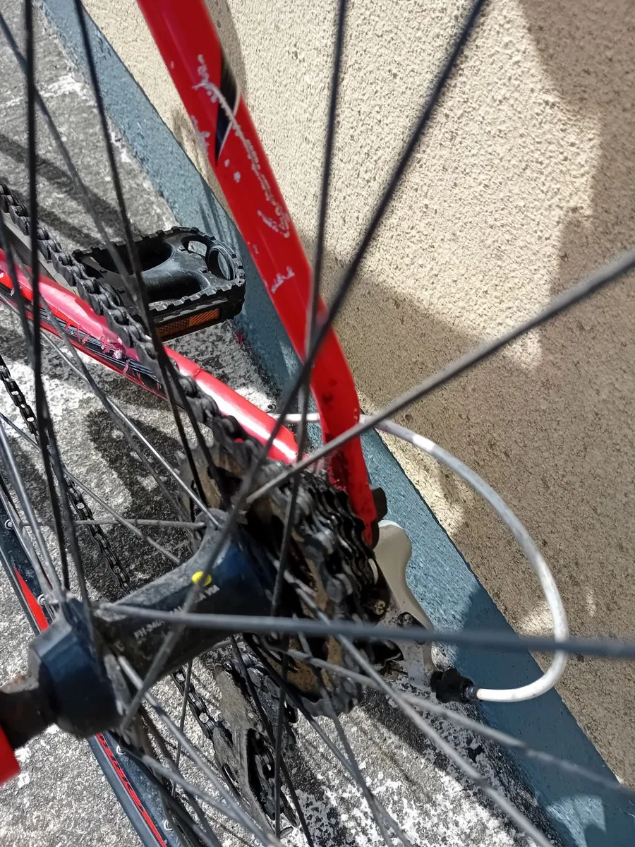 Cycling Racing Bike Orbea - Image 3
