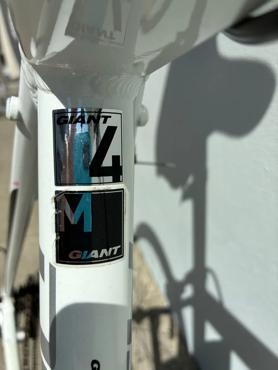 Giant Defy - Image 4