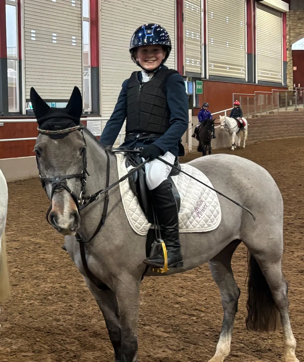 12.2 pony - Image 1