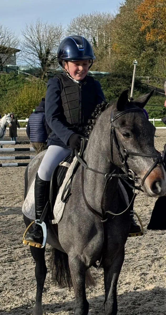 12.2 pony - Image 2