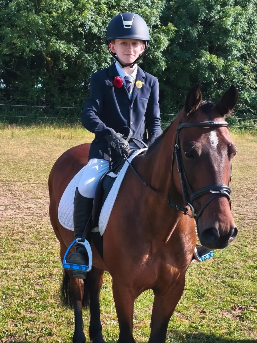 128 pony - Image 1