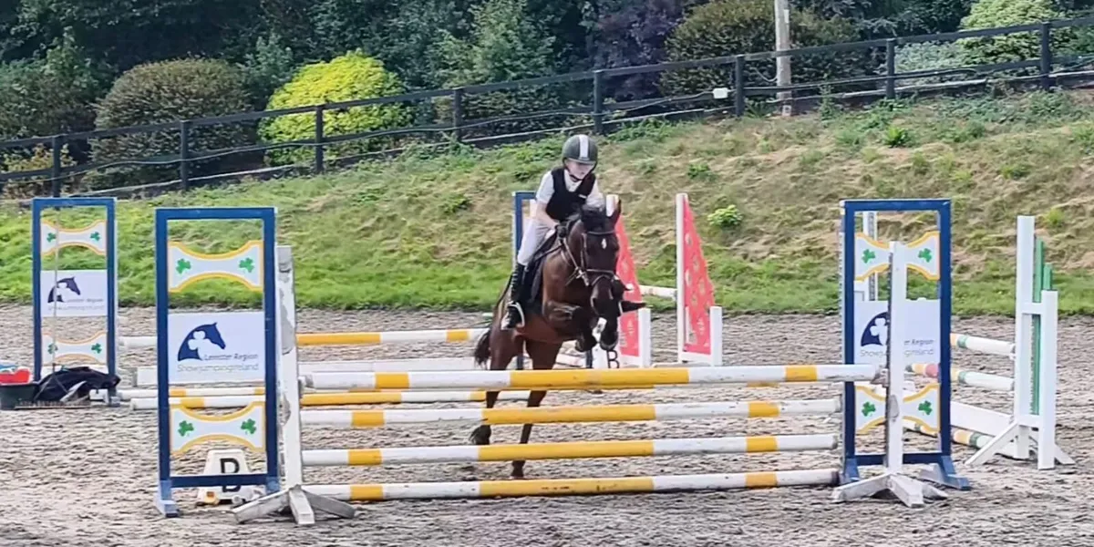 128 pony - Image 2