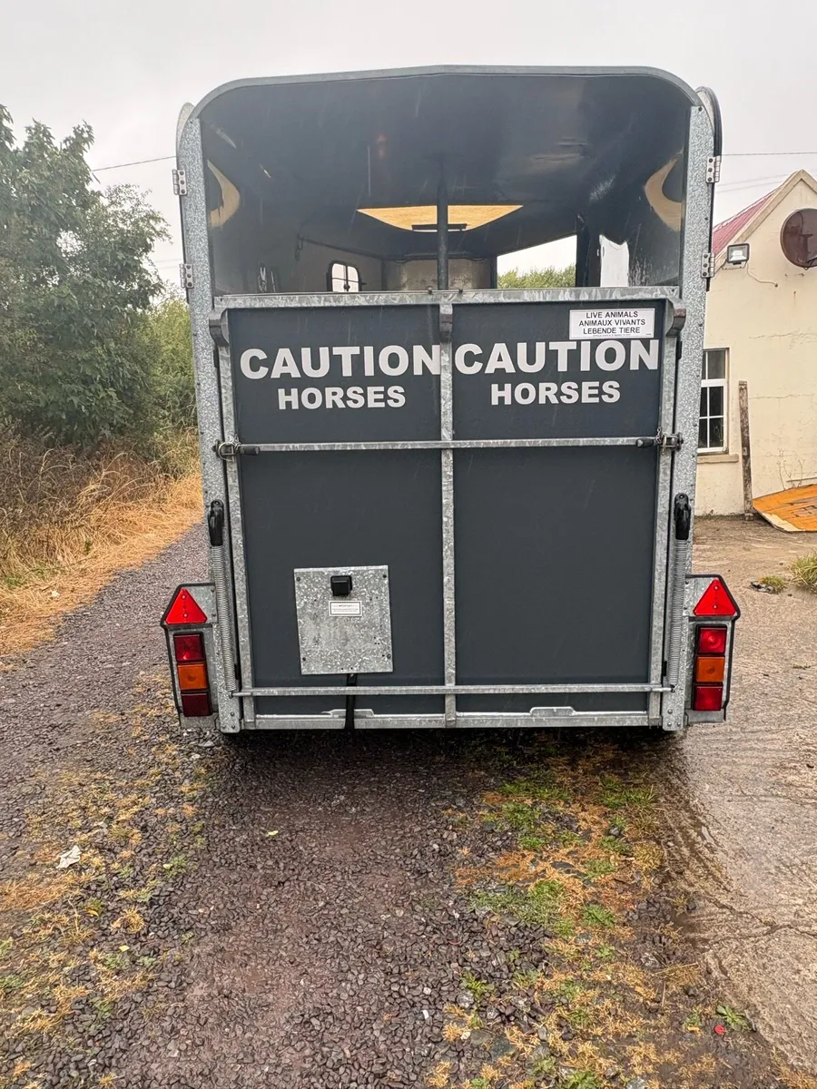 Ifor Williams HB505 Epona Limited Edition - Image 3