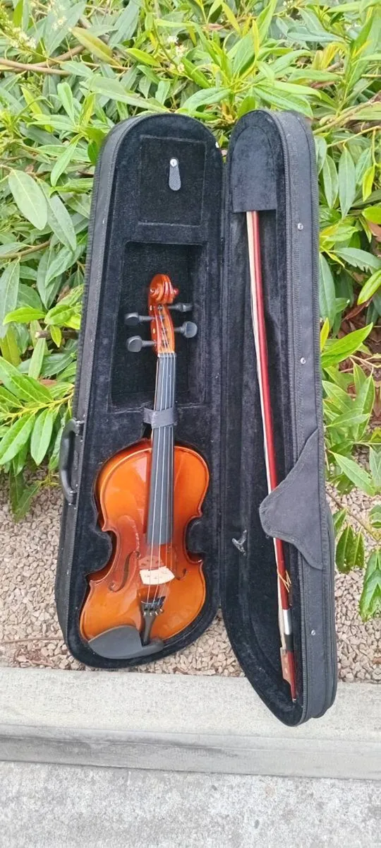 Violin