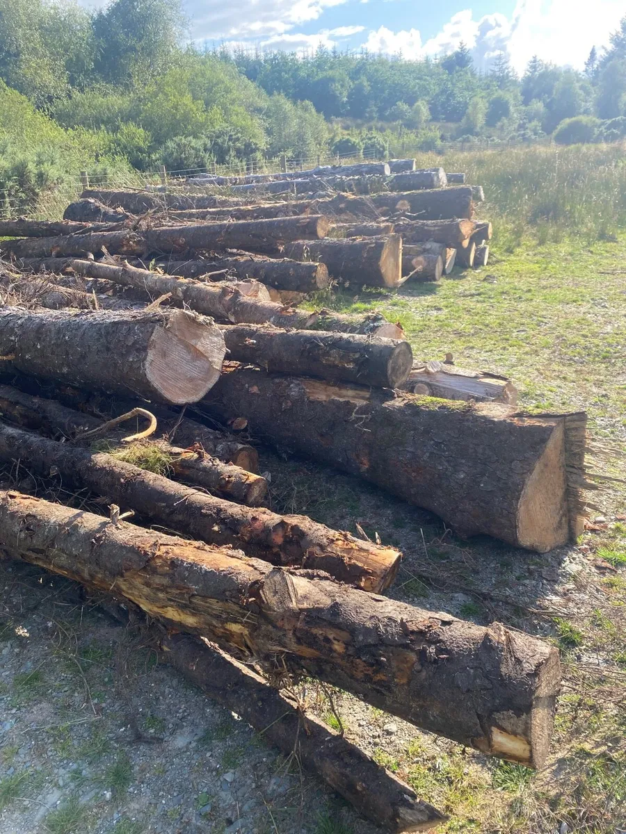 Fire wood