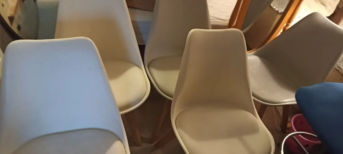 Set of Five kitchen chairs - Image 2