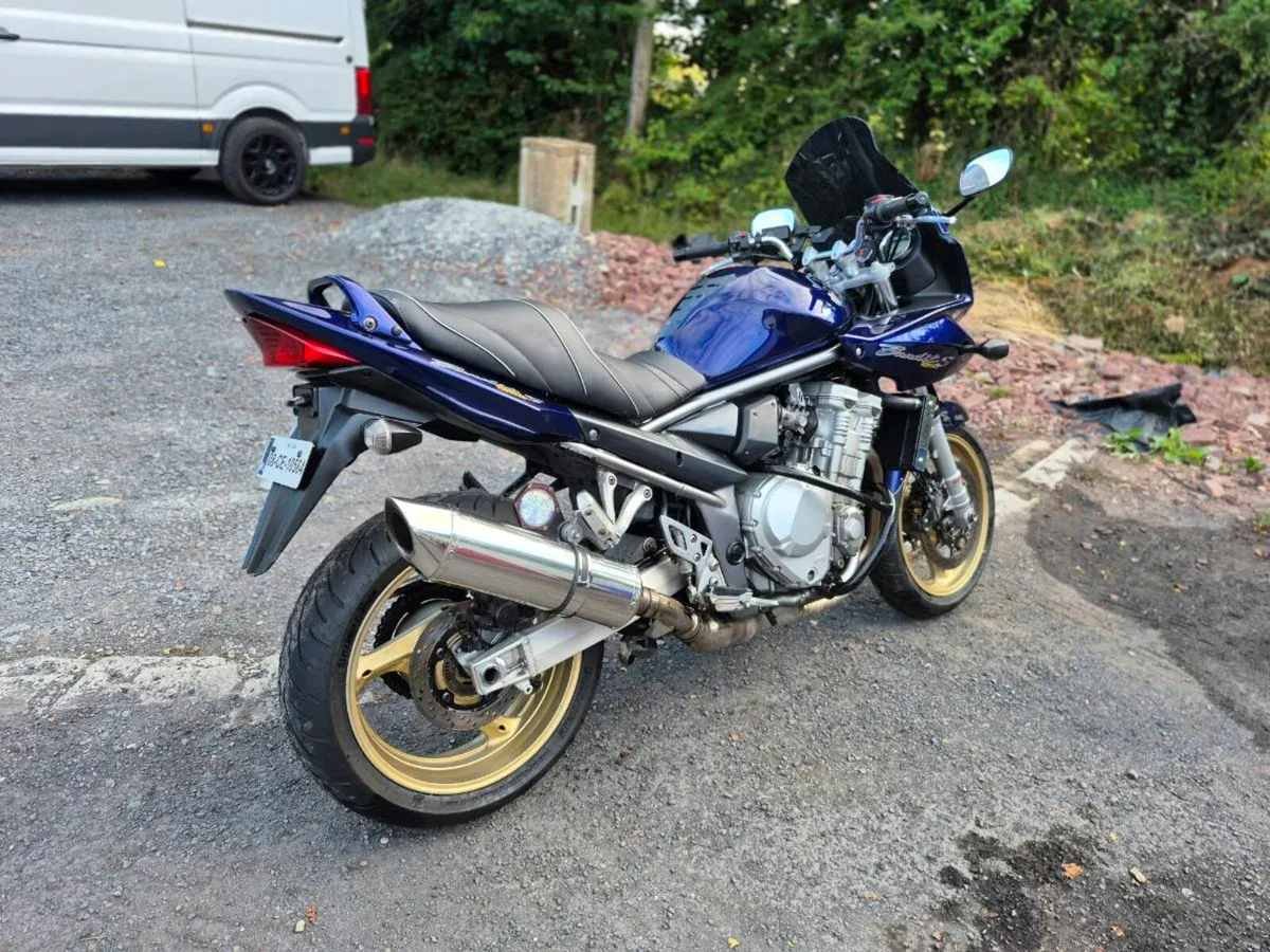 Bandit 1250s - Image 4