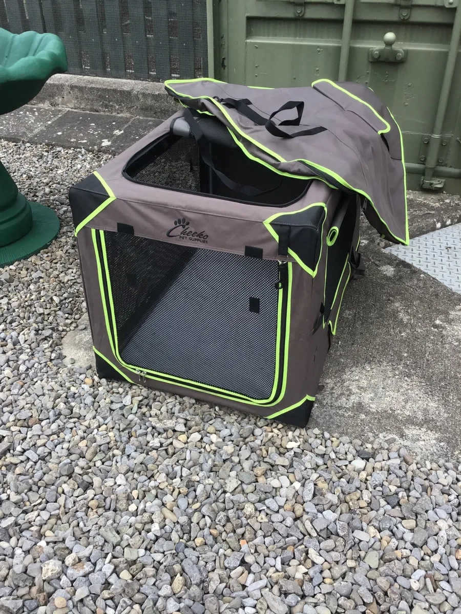 Dog accessories - Image 2